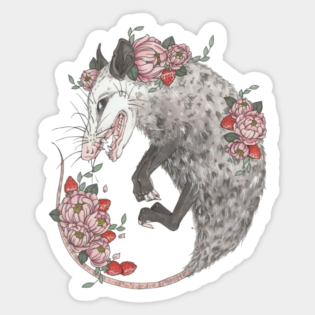 Possum Sticker by WtfBugg